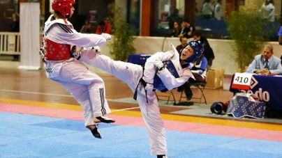 Le 3ème Open Rhône-Alpes international de Taekwondo en photos